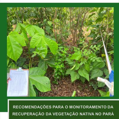 Nota Técnica - “Recomendações para o Monitoramento da Recuperação da Vegetação Nativa do Pará”