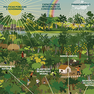 Estratégias para implementar a restauração florestal em grande escala na Amazônia